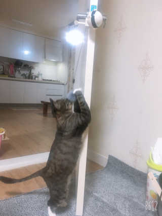 징니คʕ•ﻌ•ʔค님이 올린 리뷰 사진 1