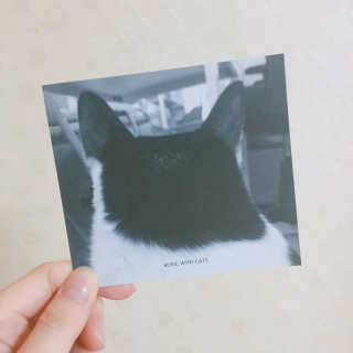 신세희님이 올린 리뷰 사진 2