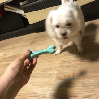 황지현님이 올린 리뷰 사진 2
