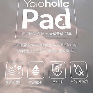 은초님이 올린 리뷰 사진 4