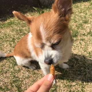 빵이님이 올린 리뷰 사진 2