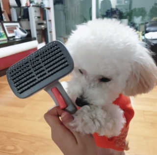 민동2님이 올린 리뷰 사진 2