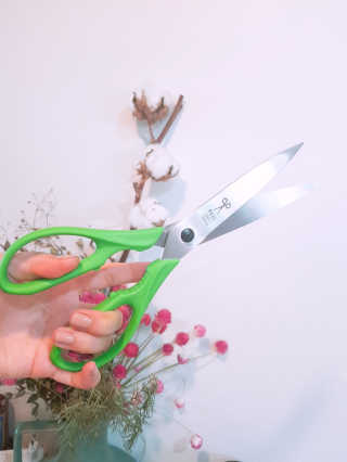 논지님이 올린 리뷰 사진 3