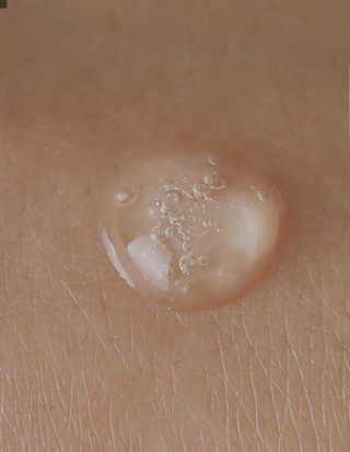 Teriliz23님이 올린 리뷰 사진 4