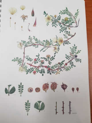쓸님이 올린 리뷰 사진 3
