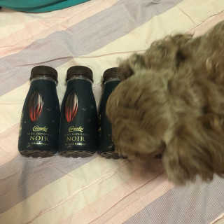 김유민님이 올린 리뷰 사진 2