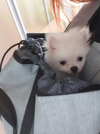 윤히포님이 올린 리뷰 사진 2