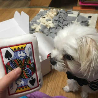 송희님이 올린 리뷰 사진 4