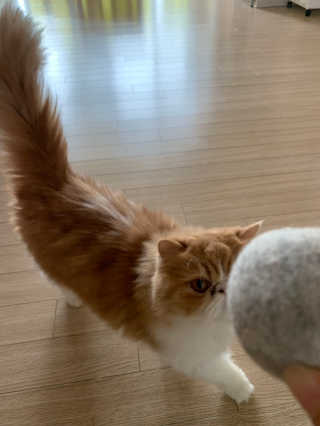 ally19님이 올린 리뷰 사진 1