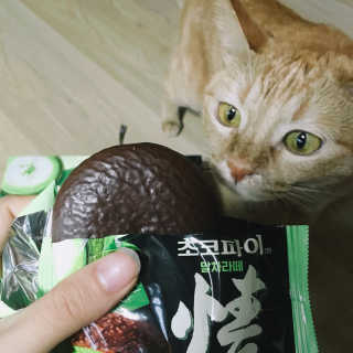 egg님이 올린 리뷰 사진 3
