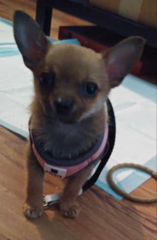 Lisameeks74님이 올린 리뷰 사진 2