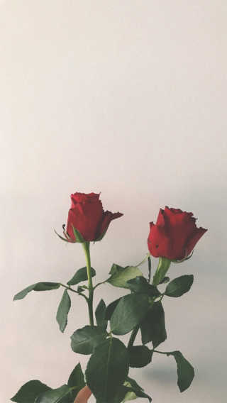 연중님이 올린 리뷰 사진 1