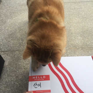henni님이 올린 리뷰 사진 4