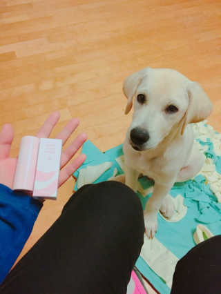 JawSung님이 올린 리뷰 사진 2
