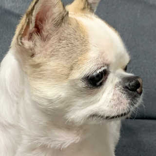 빔글뱀글님이 올린 리뷰 사진 4