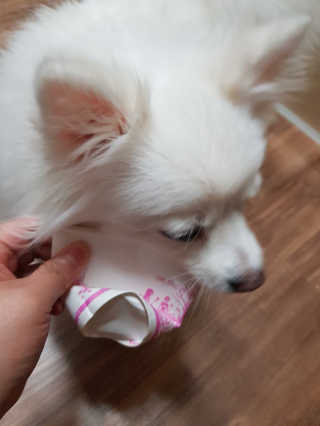 LeeKyungjin님이 올린 리뷰 사진 3