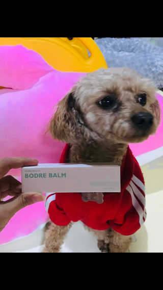 애리미님이 올린 리뷰 사진 3