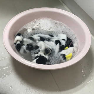 욜랭이님이 올린 리뷰 사진 2