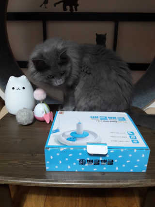 쪼꼬사랑이언니님이 올린 리뷰 사진 3