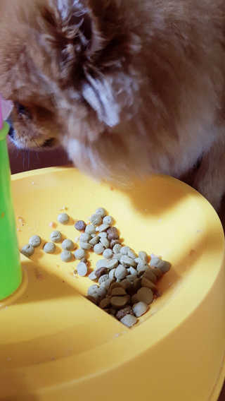 YulaKim님이 올린 리뷰 사진 2