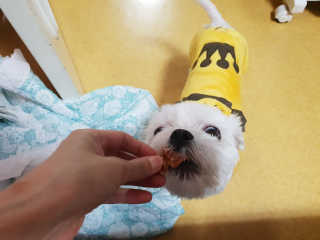 김상호님이 올린 리뷰 사진 3