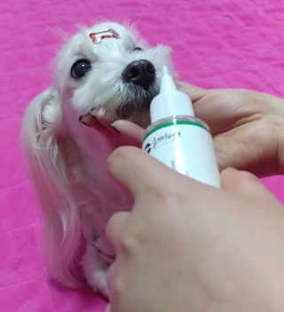 비커잠해피님이 올린 리뷰 사진 1