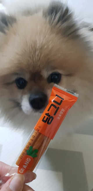 레고사줘님이 올린 리뷰 사진 3