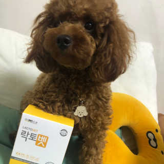 칸쵸님이 올린 리뷰 사진 4