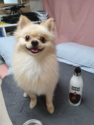 포비탄님이 올린 리뷰 사진 2