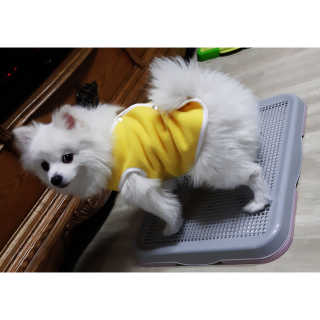 심쿵해에님이 올린 리뷰 사진 1