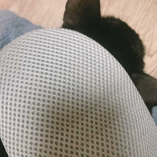 Four paws 리뉴얼 포포즈 매직코트 털 제거 브러쉬 — 3.5점을 준 리뷰어가 2018년 8월 올린 사용 사진