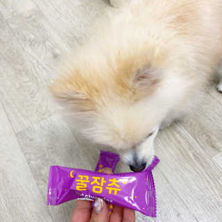 캐롯님이 올린 리뷰 사진 2