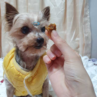 솜희님이 올린 리뷰 사진 4