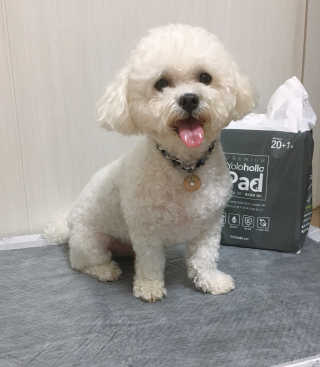 설량님이 올린 리뷰 사진 2