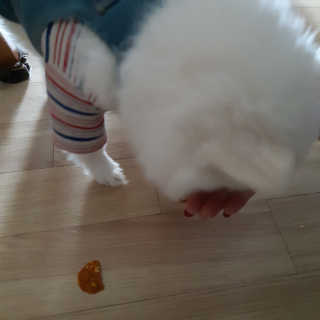 심준호님이 올린 리뷰 사진 3