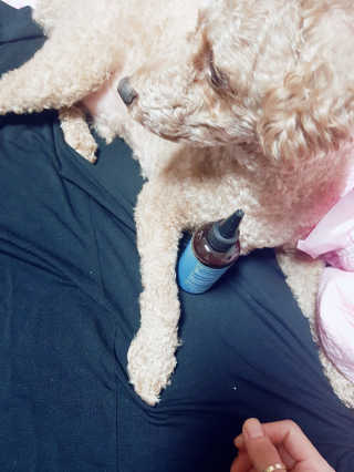 정현님이 올린 리뷰 사진 4