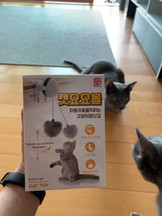 김꽁꽁님이 올린 리뷰 사진 1