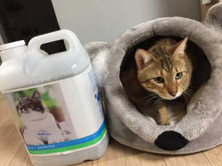 김지현님이 올린 리뷰 사진 1