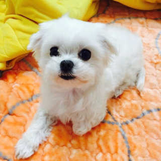 예나님이 올린 리뷰 사진 2