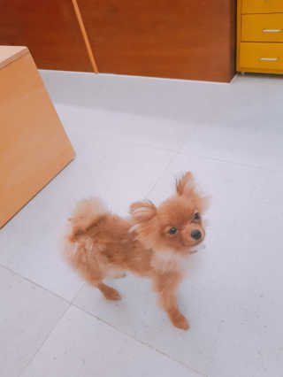 영지버섯님이 올린 리뷰 사진 4