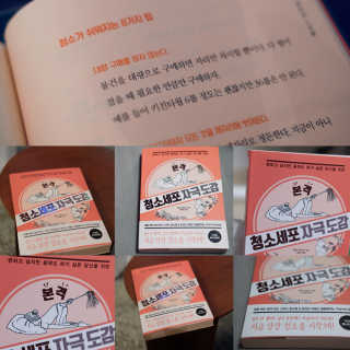 순이츠님이 올린 리뷰 사진 1