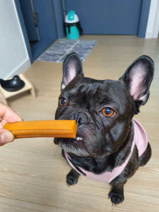 토르맘님이 올린 리뷰 사진 4
