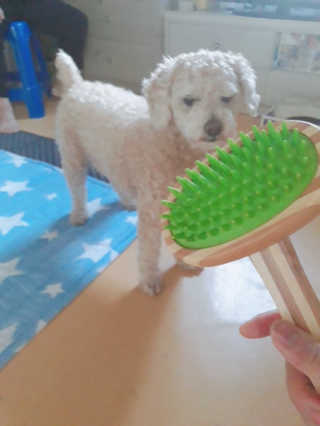 SSY님이 올린 리뷰 사진 1