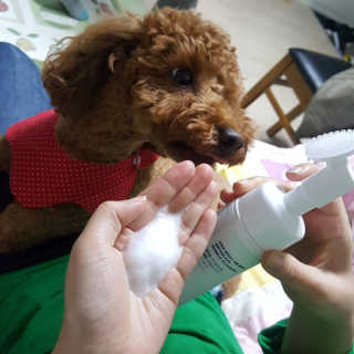 WonKyoungSin님이 올린 리뷰 사진 1