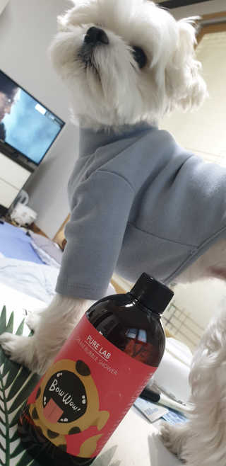 꿀돼지좋아님이 올린 리뷰 사진 1