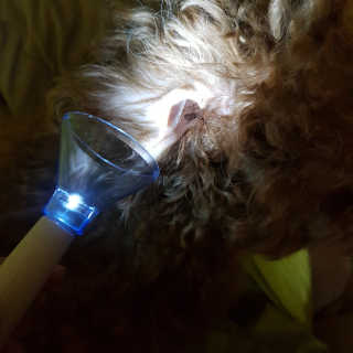 제이드님이 올린 리뷰 사진 2