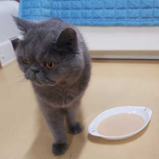 제트님이 올린 리뷰 사진 3