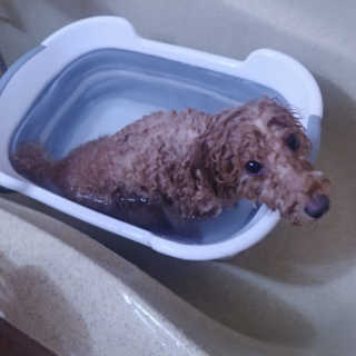 songyn님이 올린 리뷰 사진 3