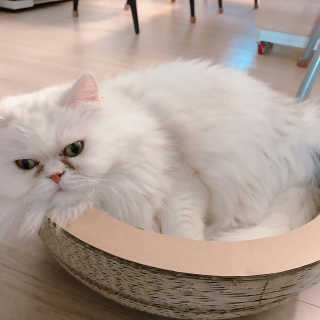 윤느님이 올린 리뷰 사진 4