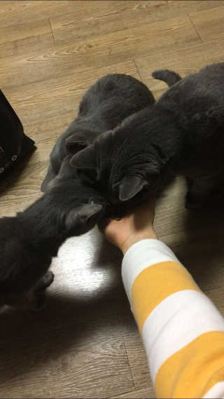 루시캐시님이 올린 리뷰 사진 3